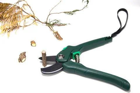 Garden Heavy Duty Scissors for tree brunches Stock Photos