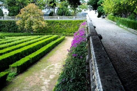 Garden hedges and cobblestone path in Belem, Lisbon, Portugal Stock Photos