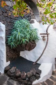 Garden at home 写真素材