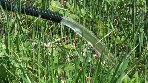 Garden hose. Stock Footage 714020