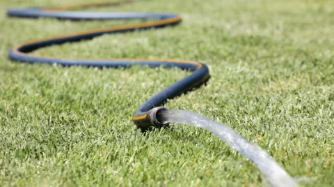 Garden Hose Video stock 5295771