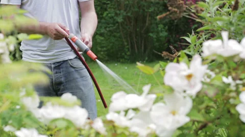 Garden hose Stock Footage 39379392