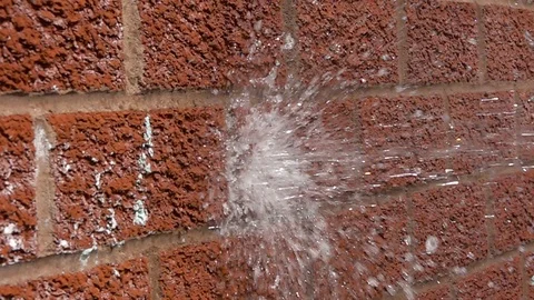 Garden hose Stock-Footage 89502004