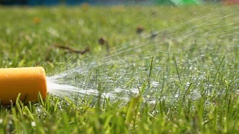 Garden hose Stock-Footage 89548474