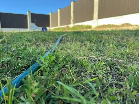 Garden hose lying on grass in backyard on sunny day Stock Photos