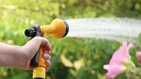 Garden hose sprayer in hand during watering Stock-Footage 343398359
