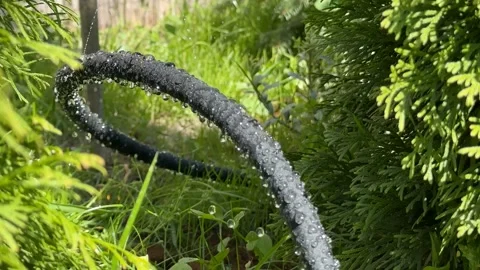 Garden Hose Watering 스톡 동영상 310494176