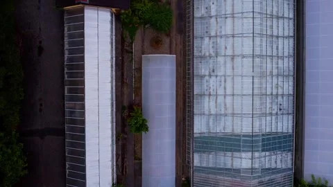 Garden House 스톡 동영상 251574896