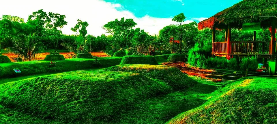 Garden Иллюстрация