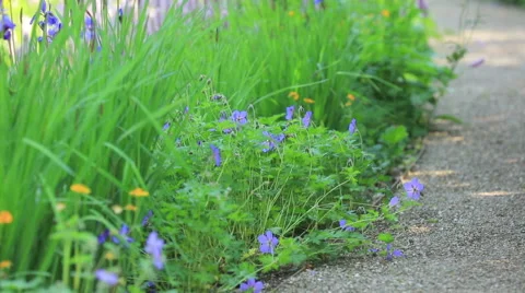 Garden of the Impressionists Stock Footage 63661192