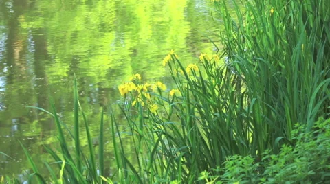 Garden of the Impressionists Stock Footage 63680397