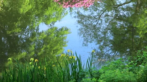 Garden of the Impressionists Video stock 63799438