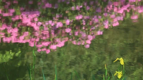 Garden of the Impressionists Stock Footage 63805598