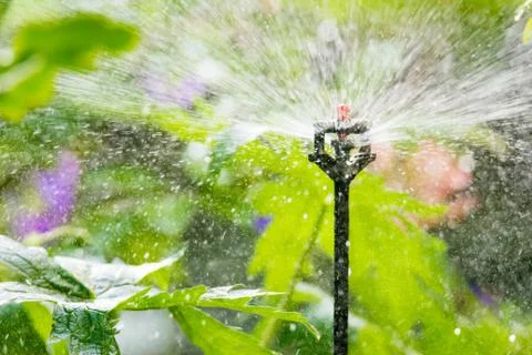Garden irrigation with an automatic watering system Stock Photos
