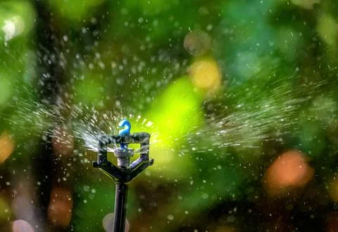 Garden irrigation with an automatic watering system Stock Photos