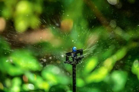 Garden irrigation with an automatic watering system Stock Photos