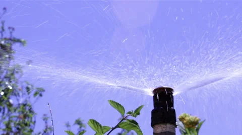 Garden Irrigation System Bubbler from below Stock Footage 50708672