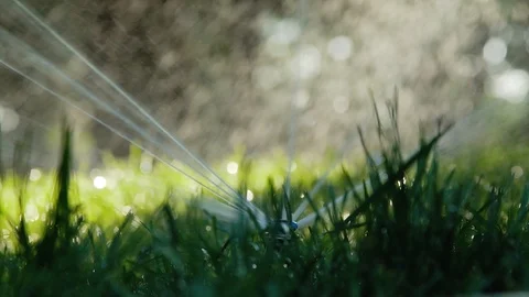 Garden irrigation system Video stock 92497537