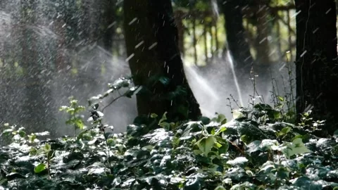 Garden irrigation system 스톡 동영상 137269904