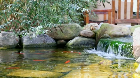 Garden koi pond waterfall Stock Footage 57675756