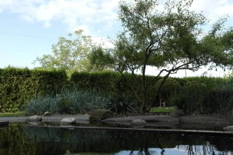 Garden with lagoon Stock Photos