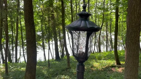 Garden lamp in the park Stock Footage 248796696