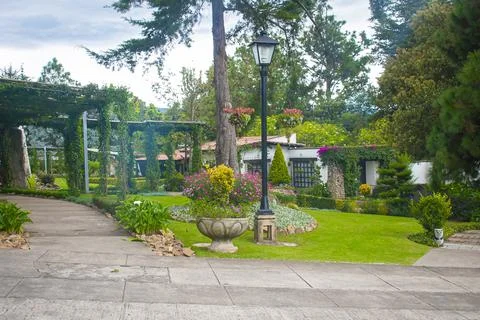 Garden with lamp post Stock Photos