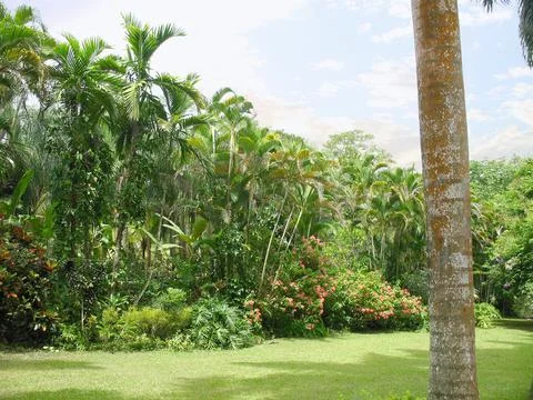 Garden landscape Stock Photos