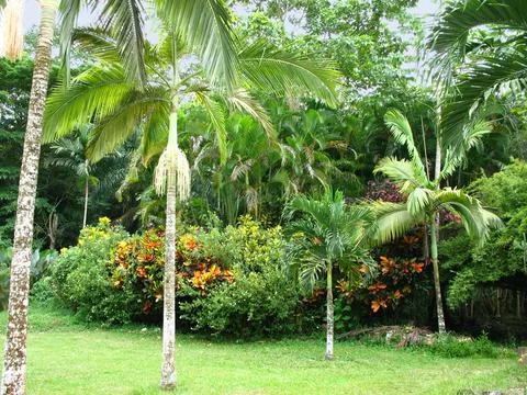 Garden landscape Stock Photos
