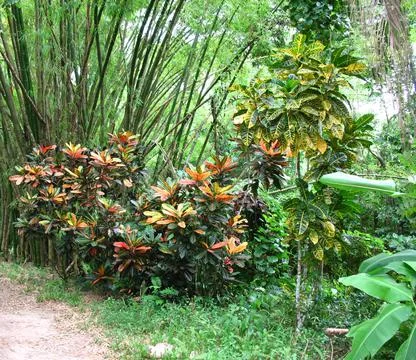 Garden landscape Stock Photos