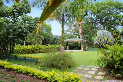 Garden landscape Stock Photos