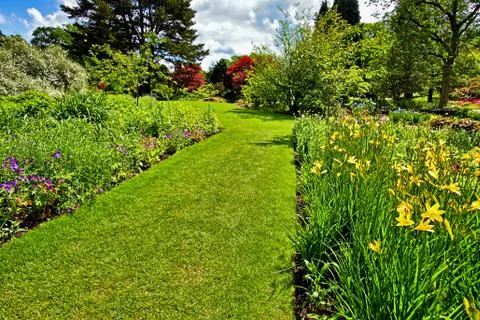 Garden landscaping, springtime Stock Photos