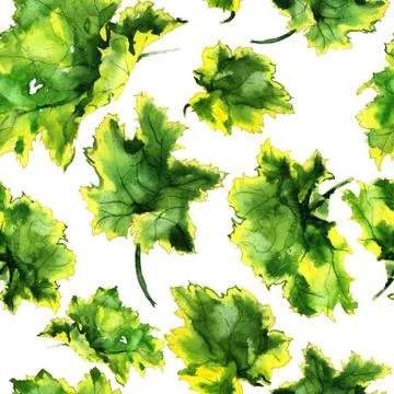 Garden leaves ornament pattern Stock Illustration