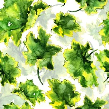 Garden leaves ornament pattern Stock Illustration