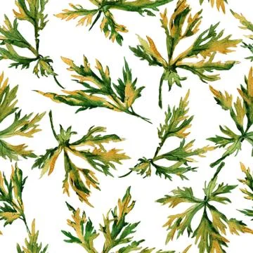 Garden leaves ornament pattern Stock Illustration