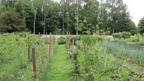 Garden left to right pythouse kitchen gardens, wiltshire Vídeo Stock 137395579