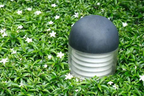 Garden light bulb Stock Photos