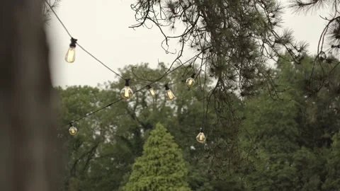 Garden light during the day Stock Footage 219016962
