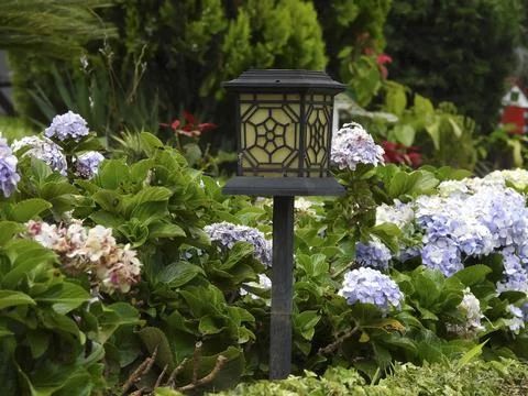 Garden light Stock Photos