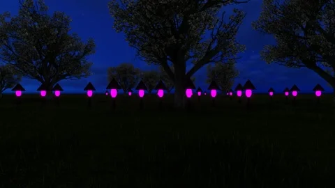 Garden lighting 스톡 동영상 342527966