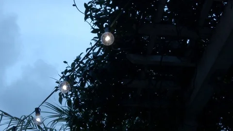 Garden Lights Video stock 71604467