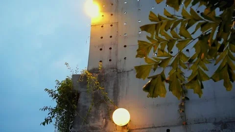 Garden lights Stock Footage 250504493