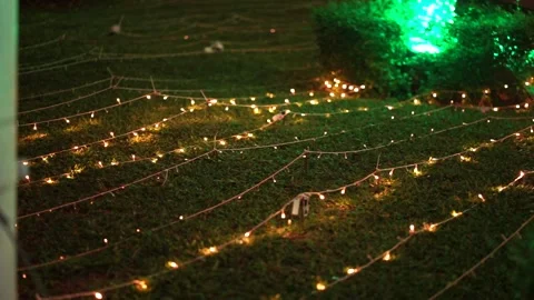 Garden Lights at Night Stock Footage 244761883