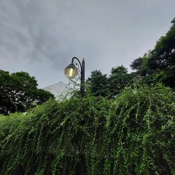 Garden lights Stock Photos