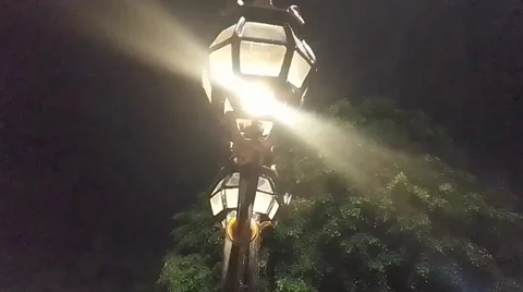 Garden lights is turn on Stock Footage 219655736