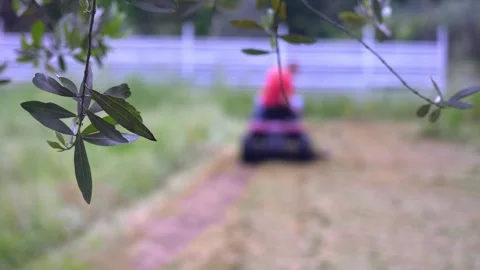 Garden maintenance man mowing dense grass with ride-on mower Stock Footage 307834010