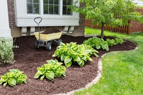 Garden maintenance in spring doing the mulching Stock Photos