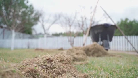 Garden maintenance work taking place in a backyard with freshly cut grass and a Video stock 305183075