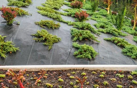 Garden in the Making Stock Photos