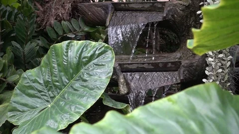 Garden mini waterfall Stock Footage 96013836